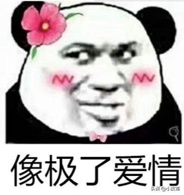 具惠善喊话安宰贤