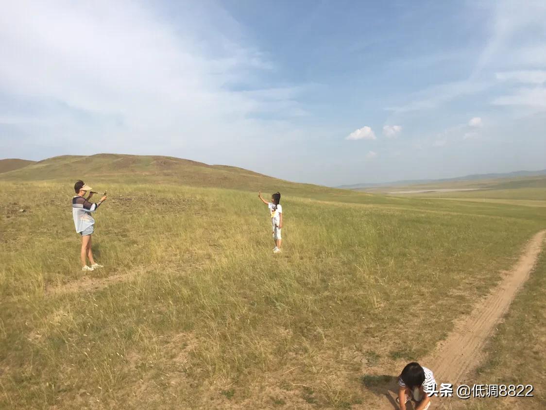 女生发树的图片意思?:草原照片 女生发树的图片意思?:草原照片