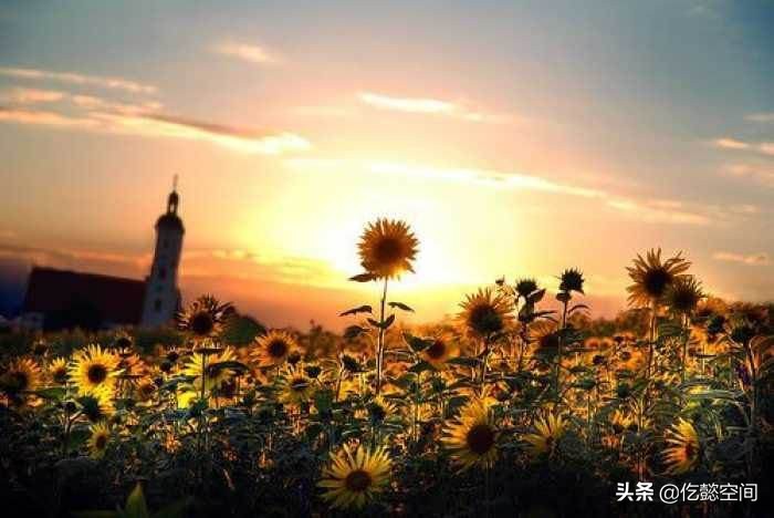 疫情带来的海外生活，疫情带来的海外生活现状