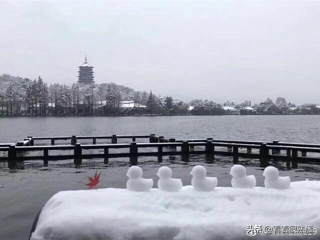 浙江电子税务局：智慧纳税新时代，浙江省电子税务局移动端
