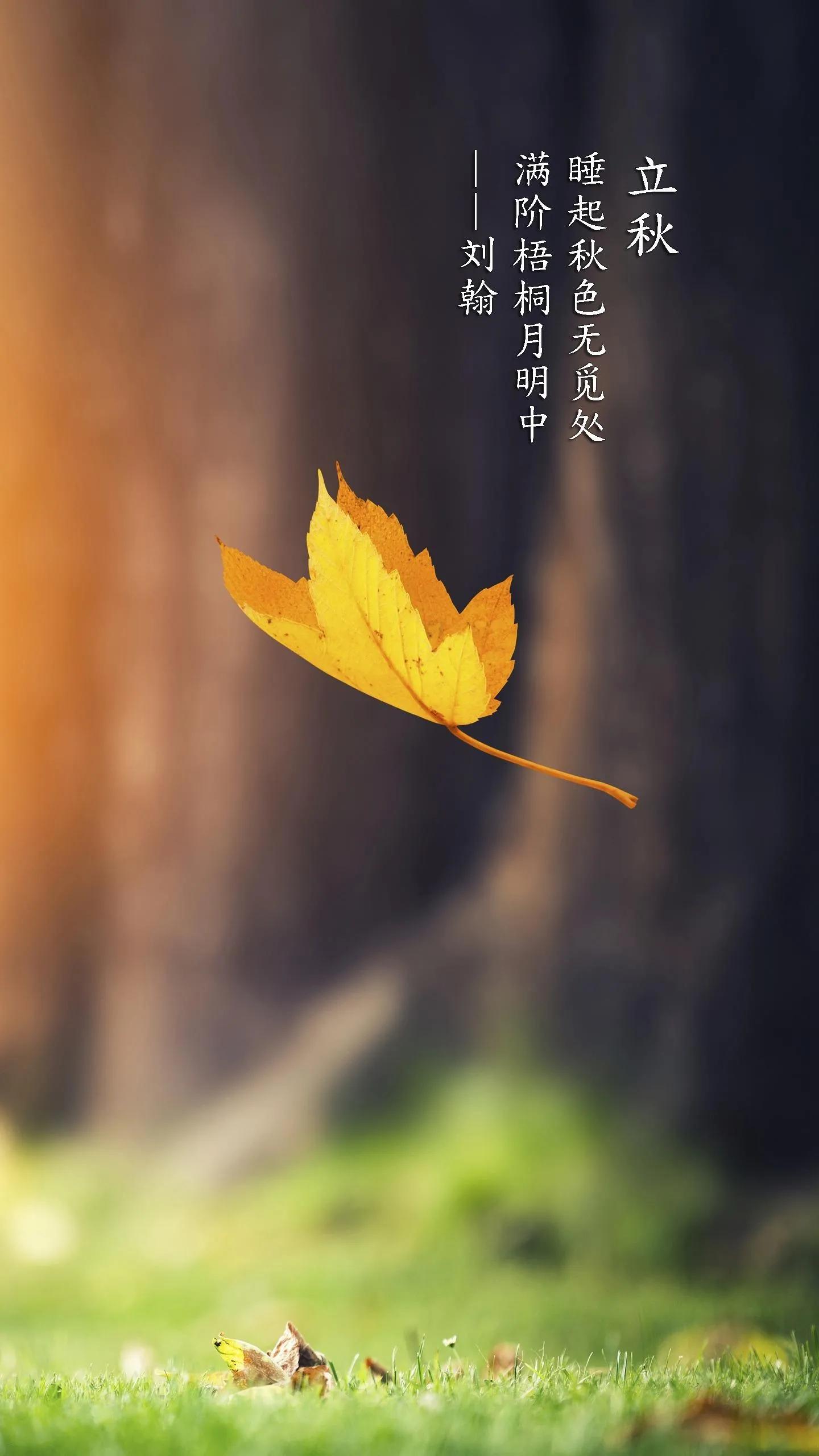 今日立秋要做这些事