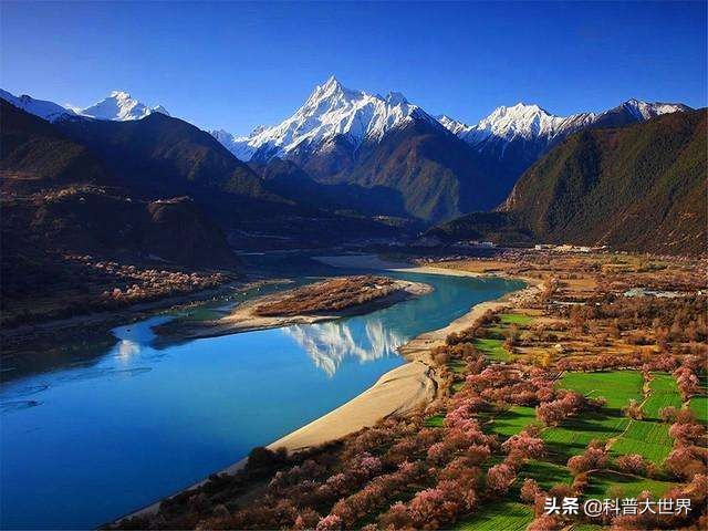 海外生活孟加拉，海外孟加拉人