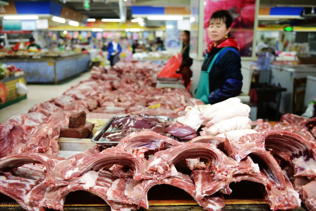 猪价跌入6元时代（补贴来了！猪价大跌53.6%，猪肉跌入8元，一头猪亏203元，咋办？）