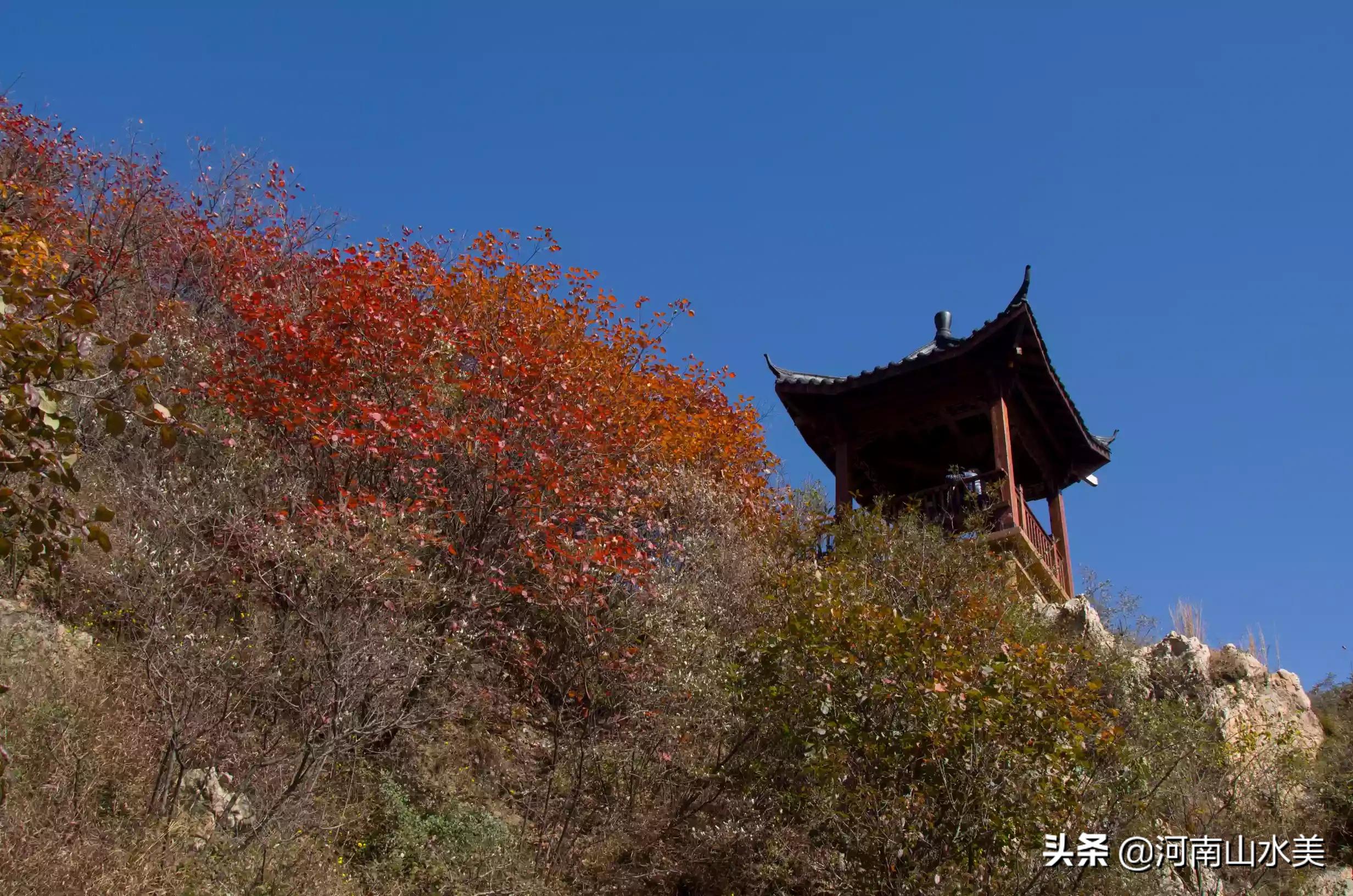 河南赏红叶十大绝佳去处？