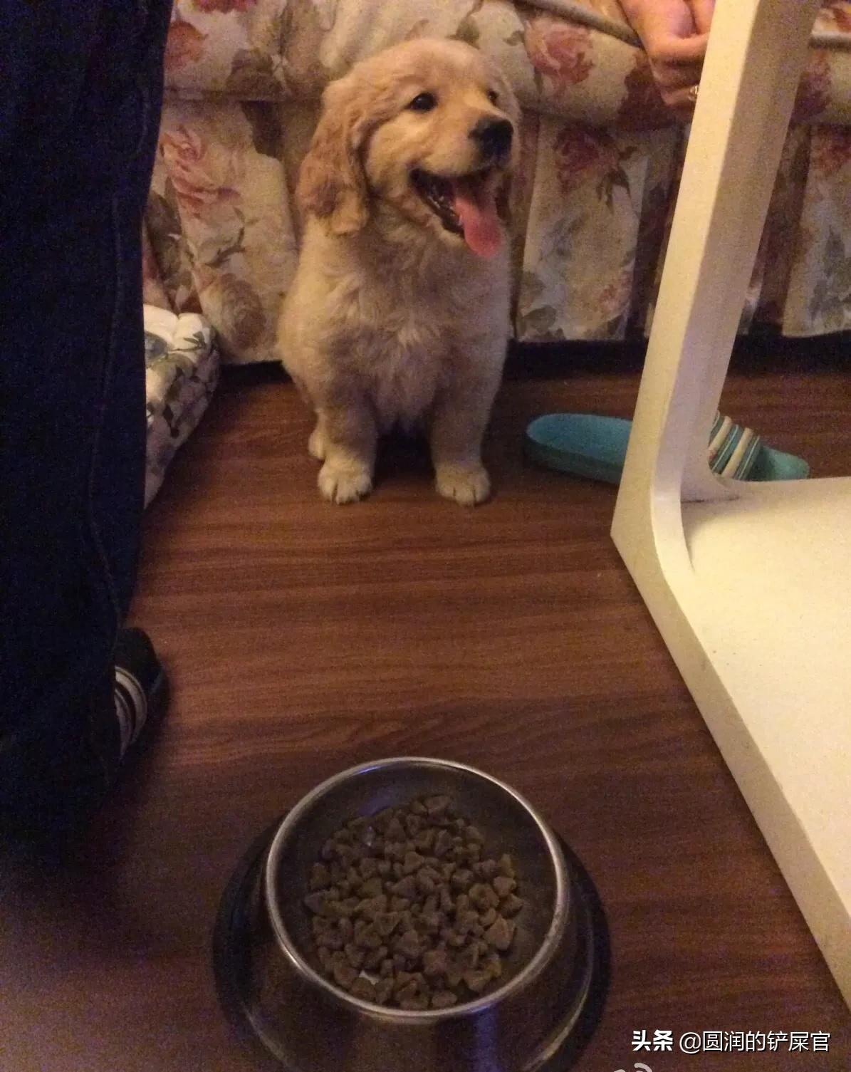 福建口罩厂怎么样