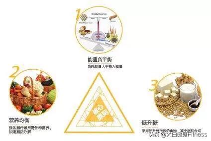 [让体脂率下降的习惯]如果我保持健康的饮食习惯和运动量，我会慢慢减低体脂率吗？