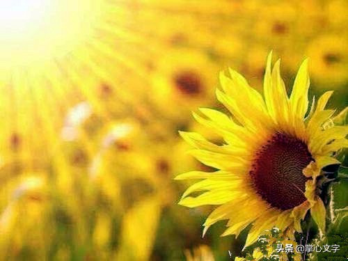 真的好累真的好累好累说说心情 真的好累真的好累好累说说心情