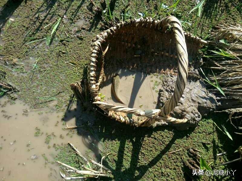 [老年人图片]老人与蛇的寓言故事？