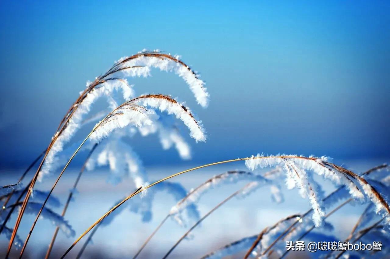 二手宝马敞篷车