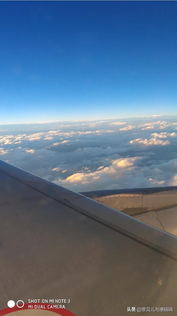 seo优化多少费用