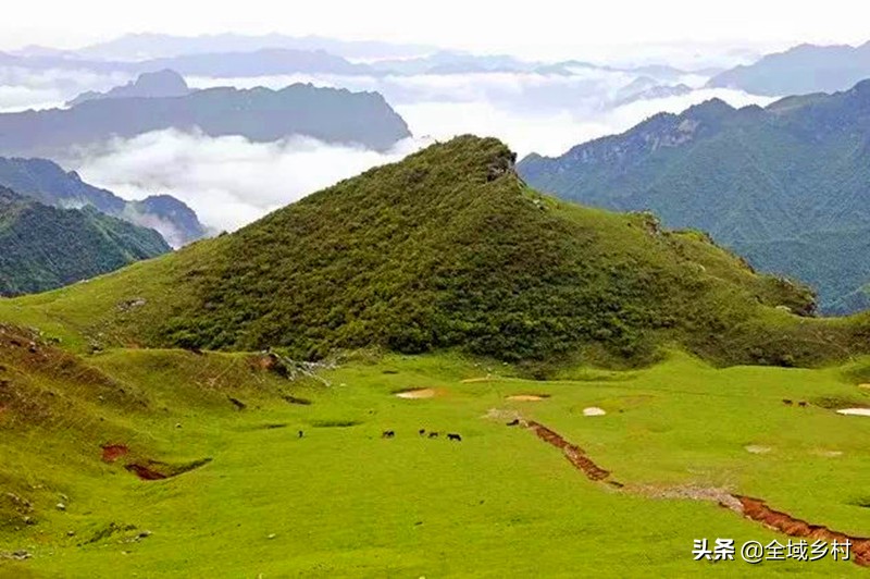 甘肃省陇南市千坝草原怎么样？