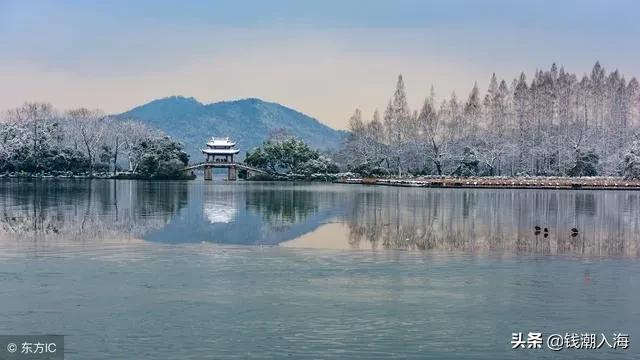 为什么杭州市房价涨了