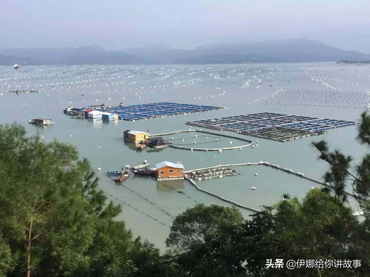 福建哪里人家里最爱干净？