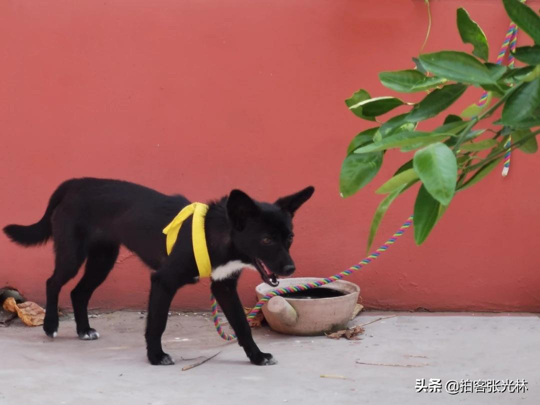 夏天的图片夏天的图片大自然风景 夏天的图片夏天的图片大自然风景