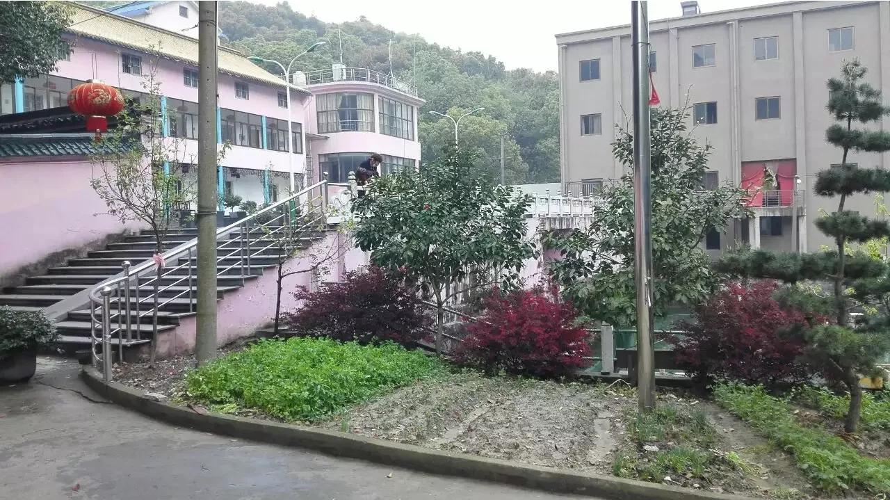 杭州小客车区域指标废弃多久能再申请？