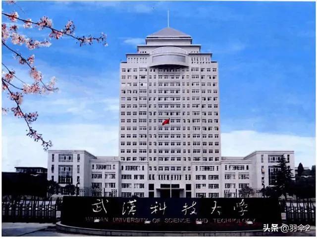 武汉除了7所985、211还有哪些比较好的大学？