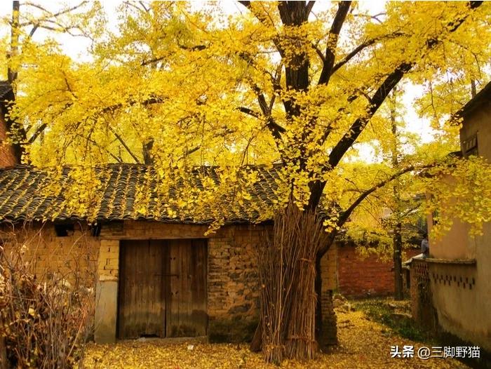 11月桂林市有什么活动