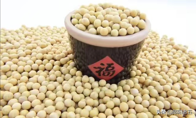 美国的大豆都是转基因的吗？：没买过美国一粒大豆