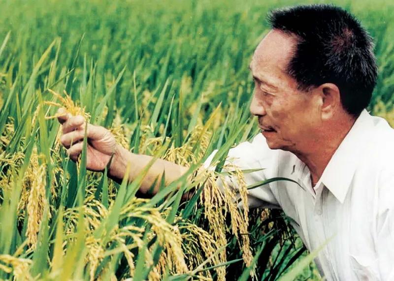 长沙市荣誉警察代表什么