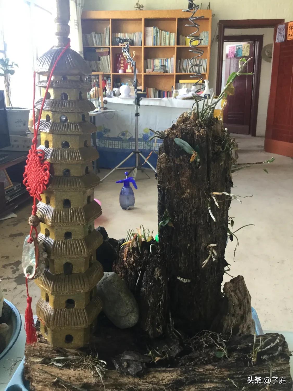 展台搭建网站设计教程视频