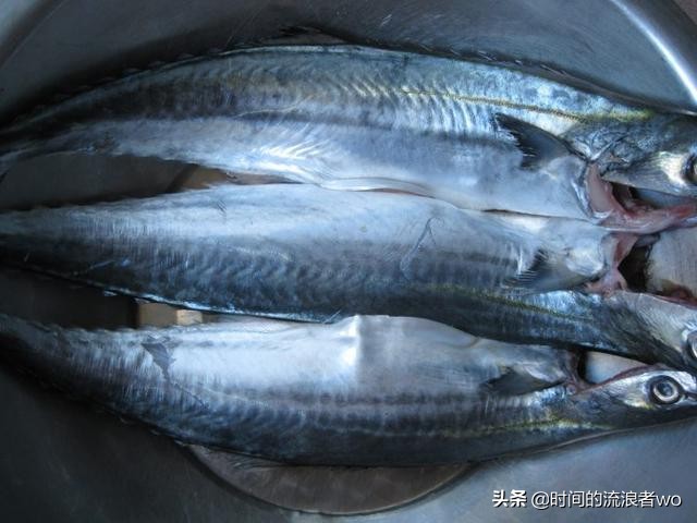 在大连市有什么鱼好吃
