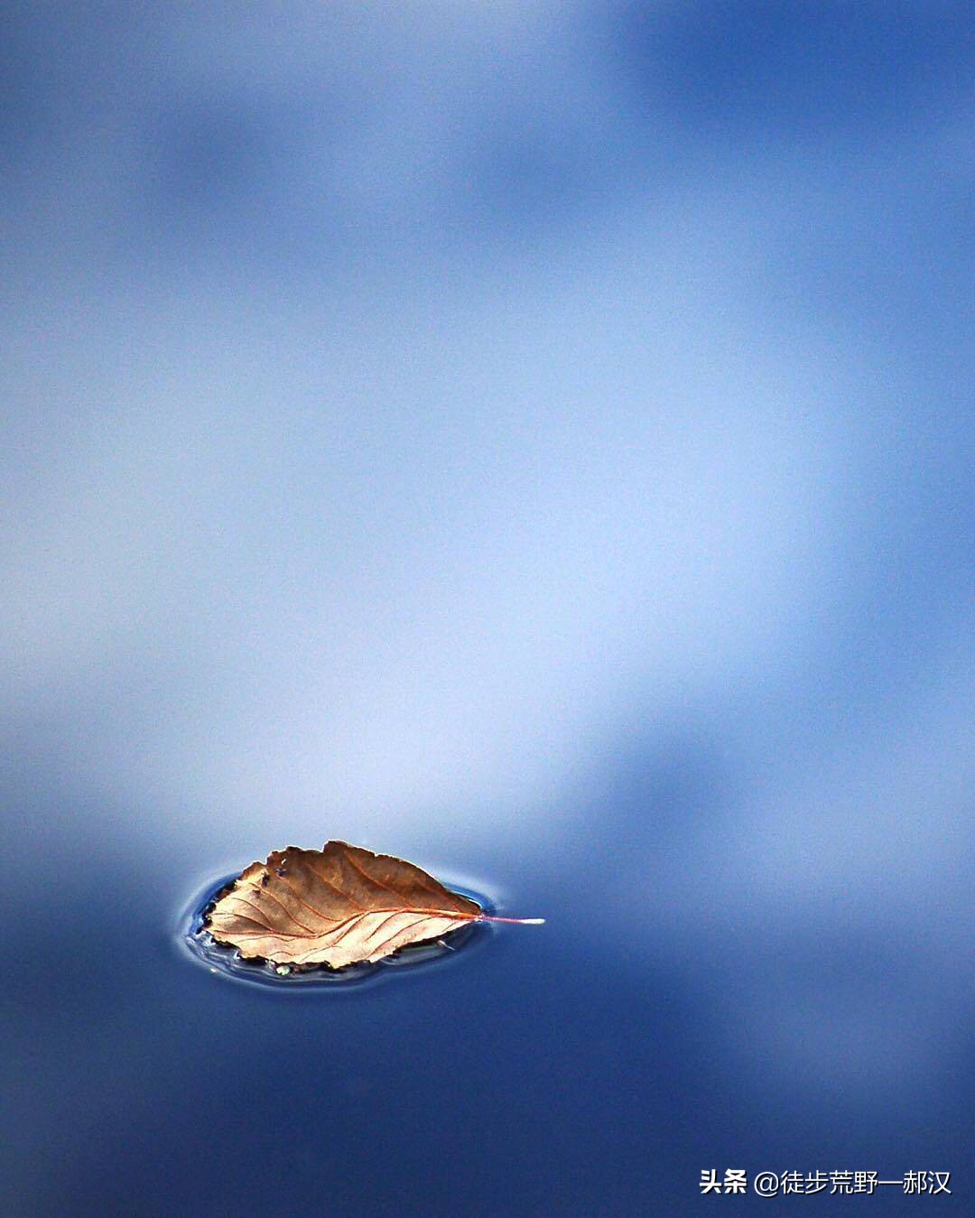 沈阳世博园怎么样？