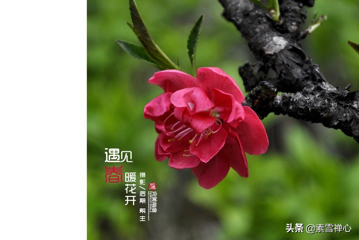 难得遇见（难得遇到一次是什么意思？）