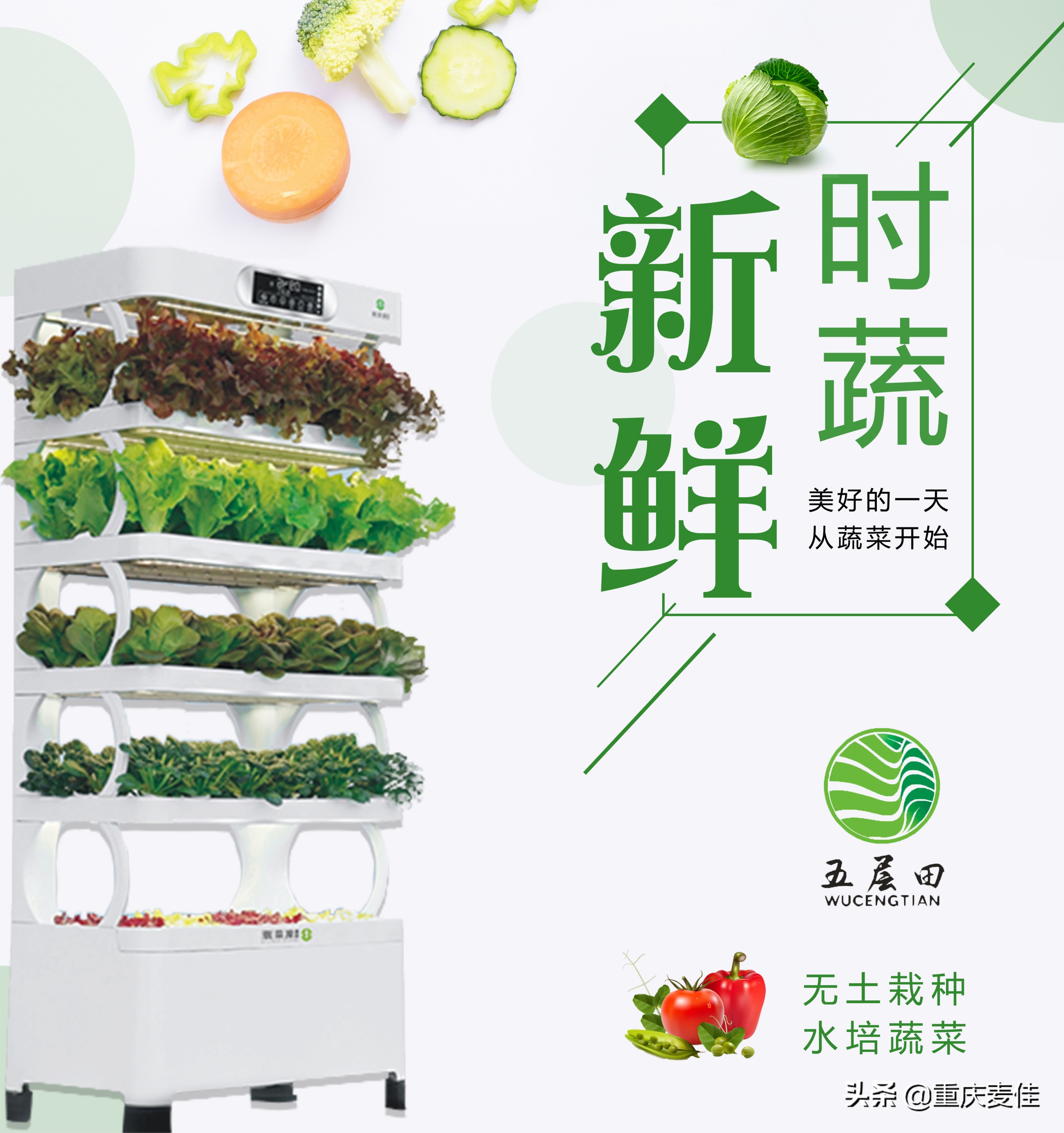 智能工厂蔬菜种植，智能蔬菜工厂每亩投资多少