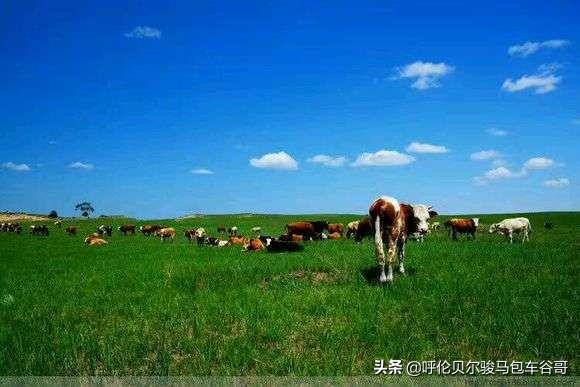 跑焦(跑焦是镜头问题还是相机问题?) 跑焦(跑焦是镜头问题还是相机问题?)