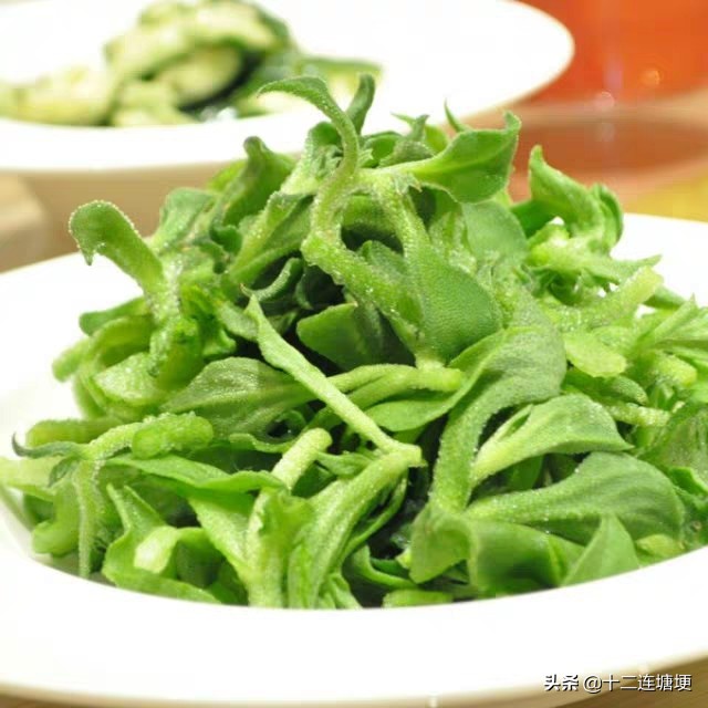 兰州曝光蔬菜种植，兰州曝光蔬菜种植基地电话