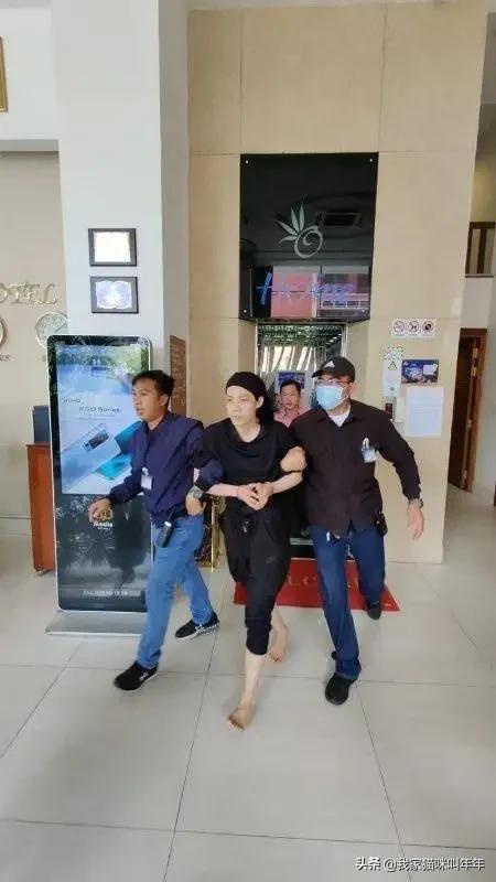 金教授讲海外生活，金教授讲海外生活视频