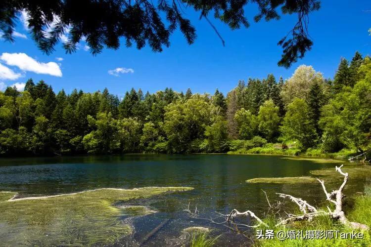 相机滤镜是干什么用的？：相机滤镜