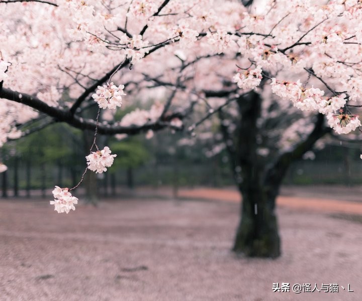 怎么能让（如何让自己变得心狠？）