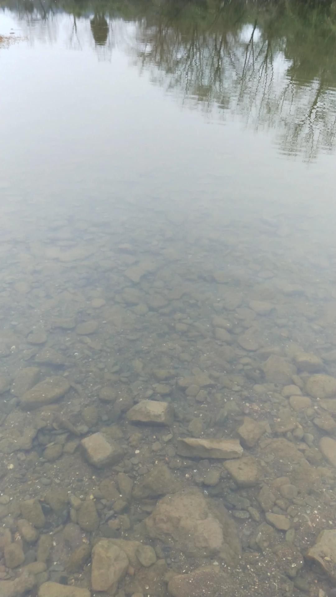 上游泳课我们全班都光着下水，光着上游泳课视频