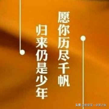 汽车报价便宜,汽车报价便宜是真的吗