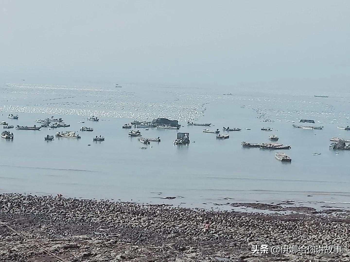 福建哪里人家里最爱干净? 福建哪里人家里最爱干净?