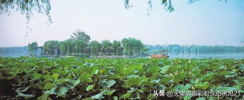 济南市是什么样