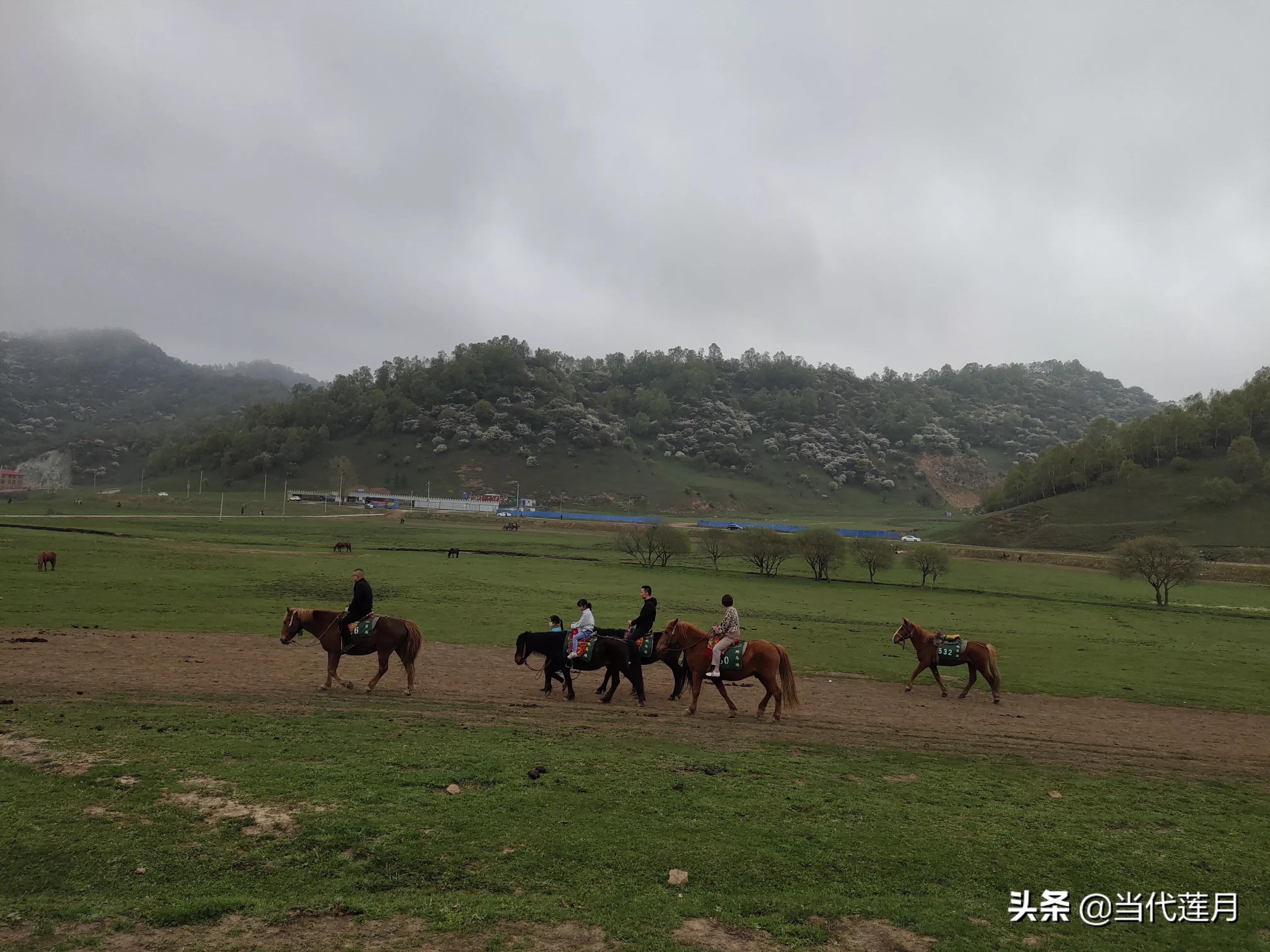 2021年五一假期5天时间兰州出发2人一车自驾游去哪里比较好？