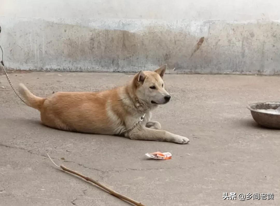 能把（人流完之后子宫里面还有2厘米的血块清宫能清干净吗？）