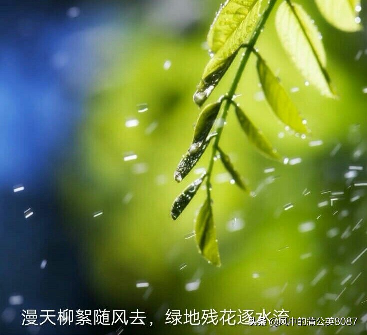 上海男杀妻藏尸冰柜案，死者父亲收集数千签名要求判其死刑。你怎么看？：杀妻后欲购冰柜藏尸