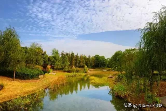 无锡市露天烧烤基地在哪里 无锡市露天烧烤基地在哪里