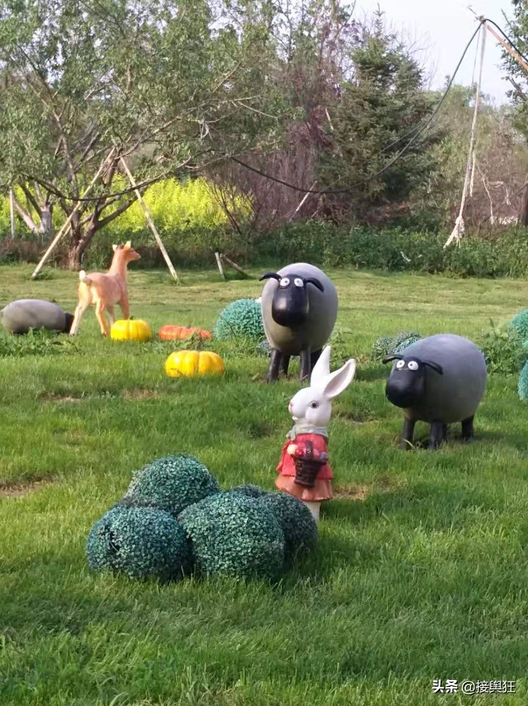 买好(买洗衣机在唯品会买还是京东买好?) 买好(买洗衣机在唯品会买还是京东买好?)