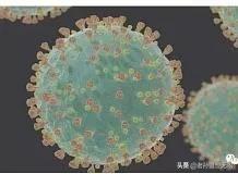 美国多地现变异动物（美国目前已发现7种新冠病毒变异株，疫情十年内能结束吗？）