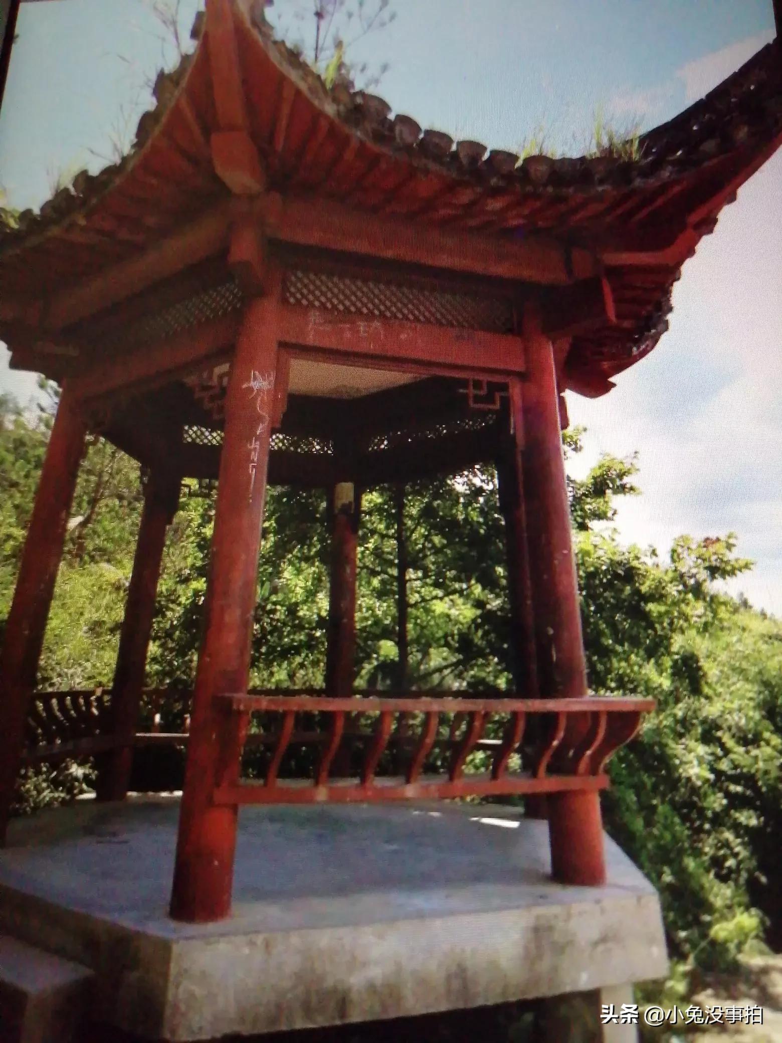 从合肥乘做高铁到黄山茶叶批发市场怎么走？