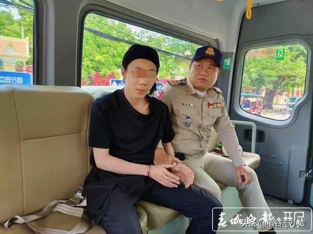 老妈的海外生活小说，老妈的海外生活小说免费阅读