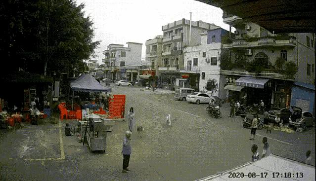 [被狗绊倒刺死老太]淮南八旬老太被狗绊倒受伤，法院判狗主人赔5万多元, 你怎么看？