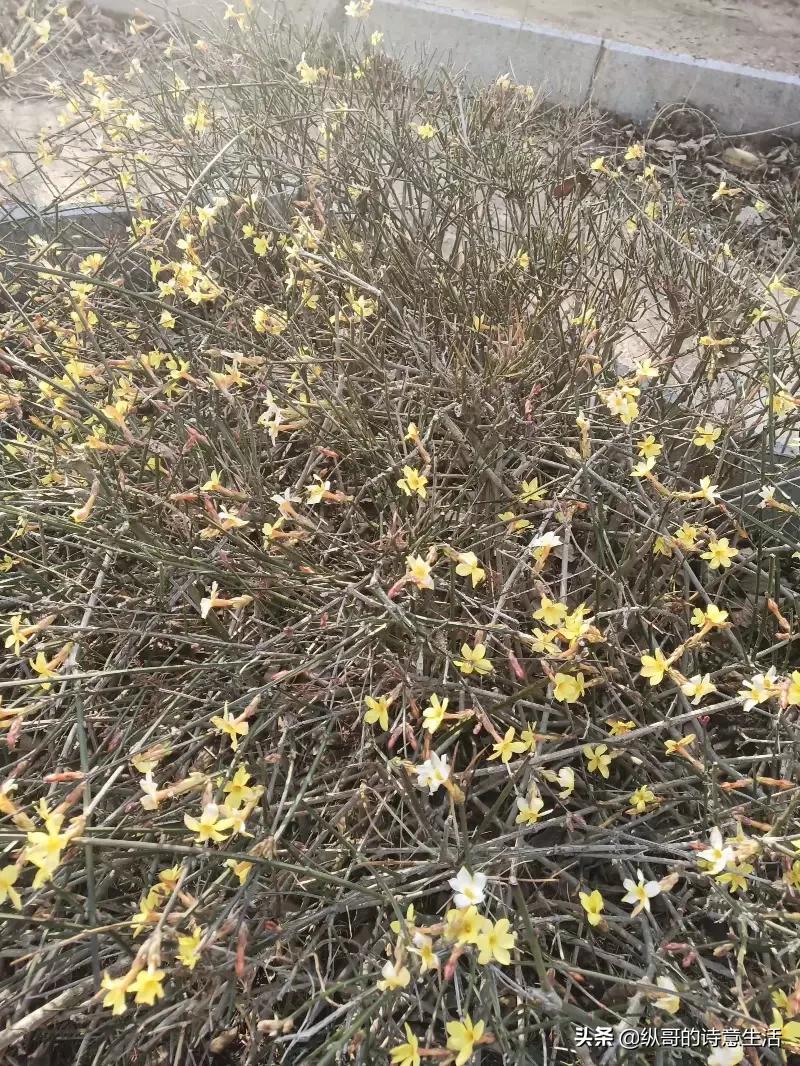 在海外生活需要注意什么，在海外生活需要注意什么问题