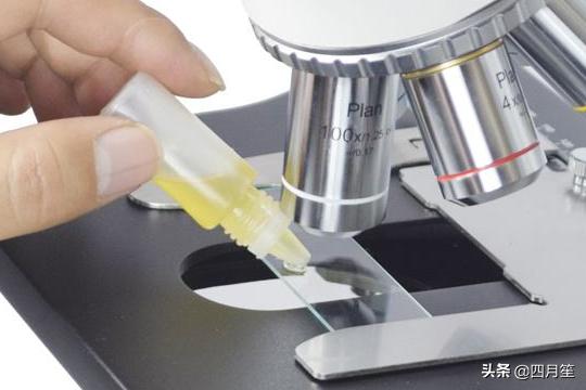 [显微镜如何使用]显微镜的使用操作步骤？