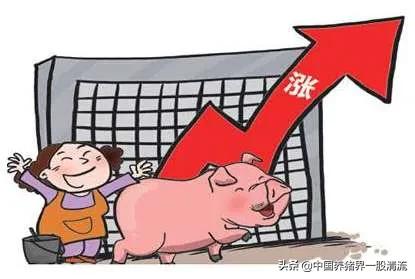 山东国际汽车报价官网,山东国际汽车报价官网电话