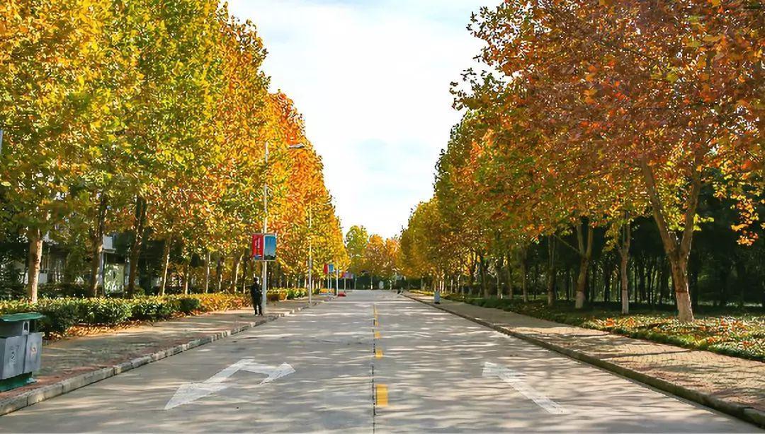 河南师范在河南怎么样
